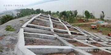 西安雁塔最新爆料,最新爆料带你探秘古都新颜  第2张